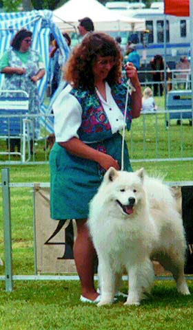 Chip just won Winners dog and Best of Winners for a five point major