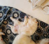 Molly baby totally full after eating