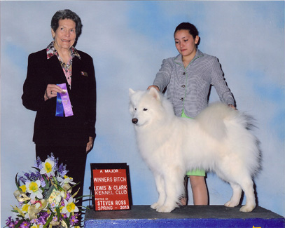 Mystic deals frost samoyeds
