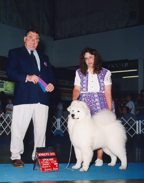Juan winning Winners Dog for his first AKC point